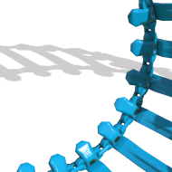 forestKingF2_780_50__28_5_evoBaltic